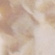 4206